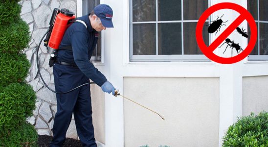 İstanbul Dezenfeksiyon böcek ilaçlama ve haşere kontrolü — ilaclama-tr.com